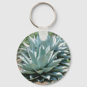 Agave Succulent Plant Cactus Grönt sage Nyckelring