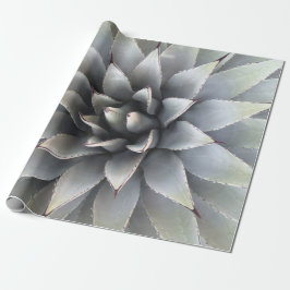 Agave Succulent Plant Cactus Grönt sage Presentpapper