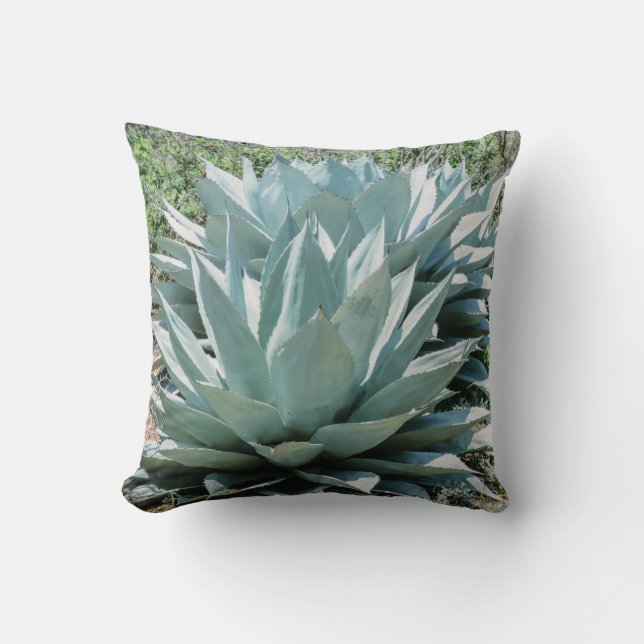 Agave Succulte Plant Cactus Grönt Sage Throw Pil Kudde (Framsida)