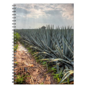 Agave Tequilana Anteckningsbok