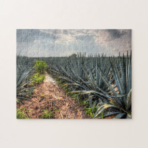 Agave Tequilana Pussel