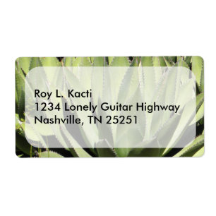 Agave Unique Nature Photographic Art Art Fraktsedel