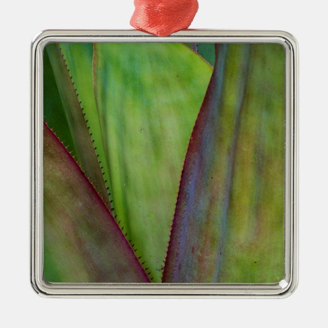 Agave Växtdetalj Julgransprydnad Metall (Framsidan)