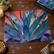 Agave vid solnedgång