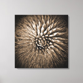 Agavepiggar Sepiatryck på canvas 56 cm x 56 cm