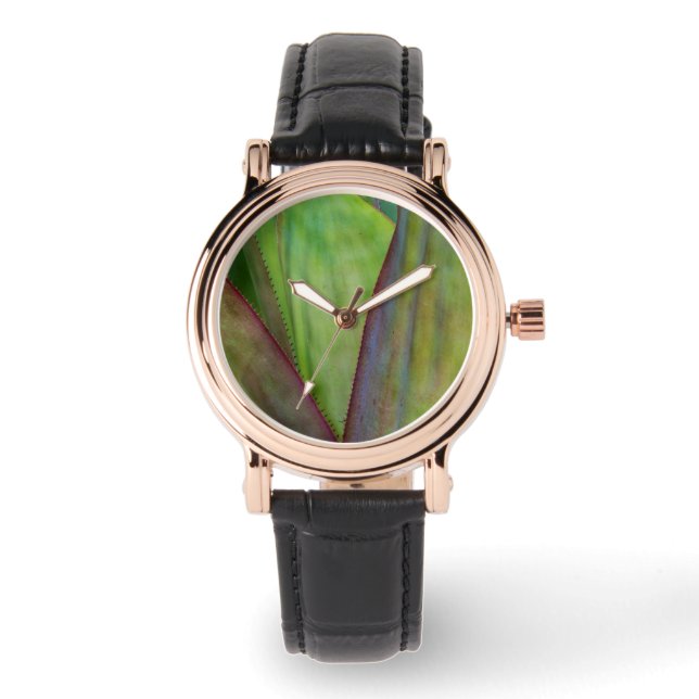 Agaveväxt detalj armbandsur (Framsida)