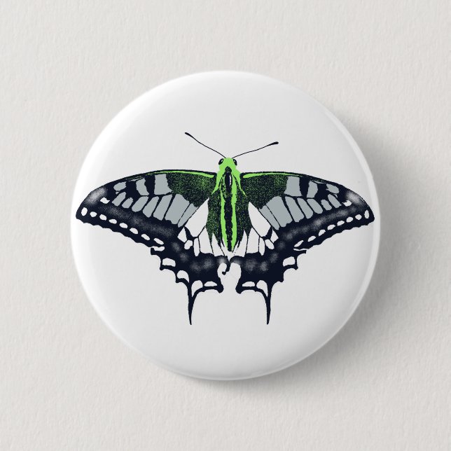 Agender Flagga Swallowtail Butterfly Knapp (Framsida)