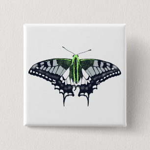 Agender Flagga Swallowtail Butterfly Knapp