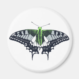 Agender Flagga Swallowtail Butterfly Magnet