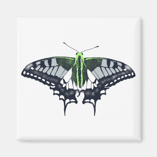 Agender Flagga Swallowtail Butterfly Magnet (Framsidan)