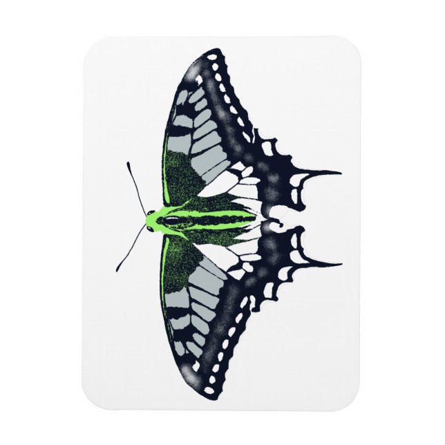 Agender Flagga Swallowtail Butterfly Magnet (Vertikal)