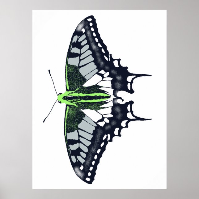 Agender Flagga Swallowtail Butterfly Poster (Framsidan)