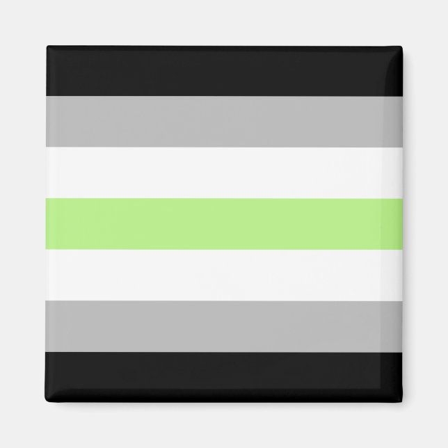 Agender Pride Flagga – Agender Identitet LGBTQIA+ Magnet (Framsidan)