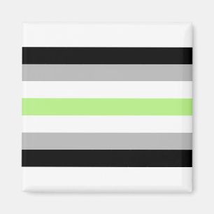 Agender pride flagga magnet