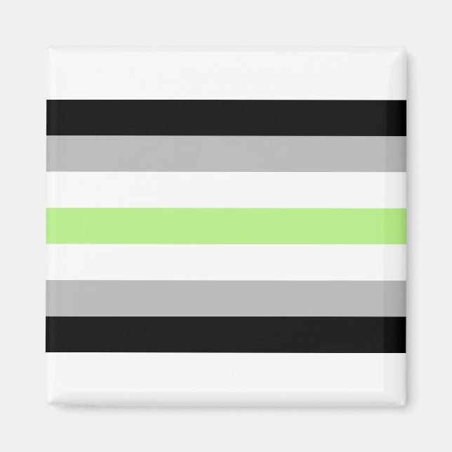 Agender pride flagga magnet (Framsidan)