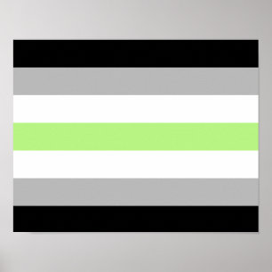 Agender Pride Flagga Poster