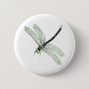 Agender Pride Vintage Dragonfly Art Knapp