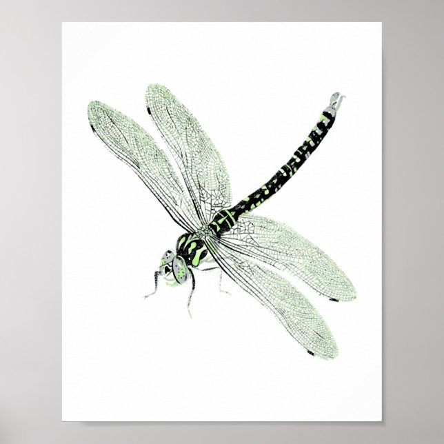 Agender Pride Vintage Dragonfly Art Poster (Framsidan)