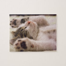 Agerande sovkattpuzzel