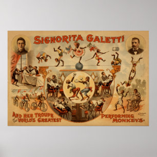 Agerar utförande apor för GALETTI Poster