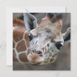 Agerbara Giraffe-inbjudningar Inbjudningar