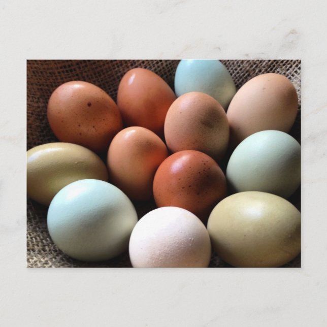 Ägg av alla skuggor vykort (Framsida)