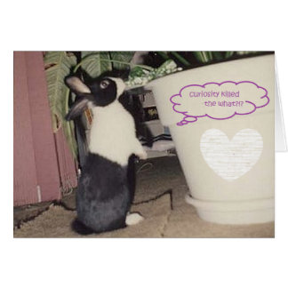 Ägg av frilevande hälsningskort