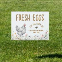 Ägg Försäljningsskylt Vägsidans Bondgård Vattenfär
