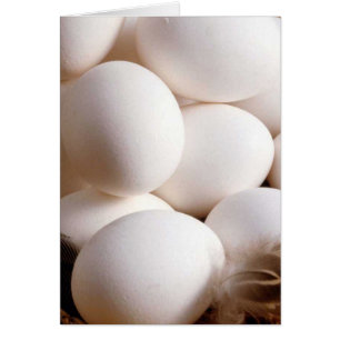 Ägg Hälsningskort