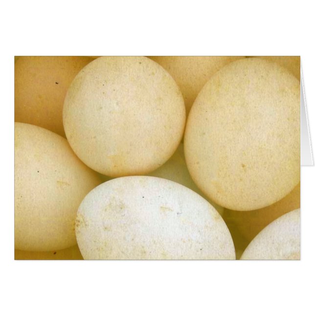 Ägg Hälsningskort (Framsidan Horizontal)