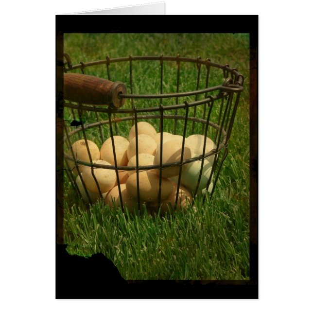 Ägg Hälsningskort (Framsidan)