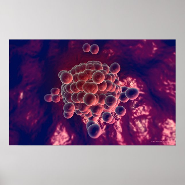 Ägg i äggform poster (Framsidan)