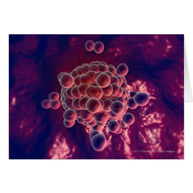 Ägg i en ovum hälsningskort (Framsidan Horizontal)
