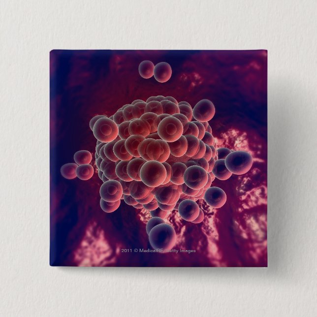 Ägg i en ovum knapp (Framsida)