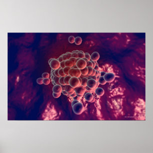 Ägg i en ovum poster