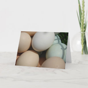 Ägg Kort