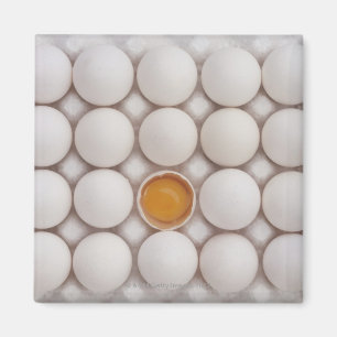 Ägg Magnet