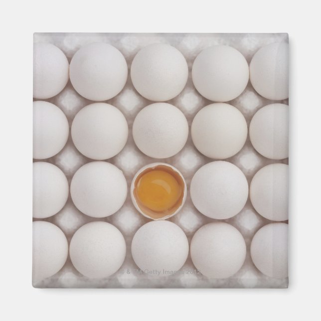 Ägg Magnet (Framsidan)