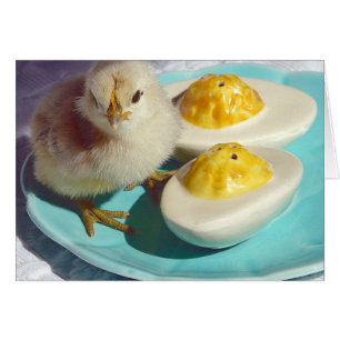 Ägg och Chick Hälsningskort