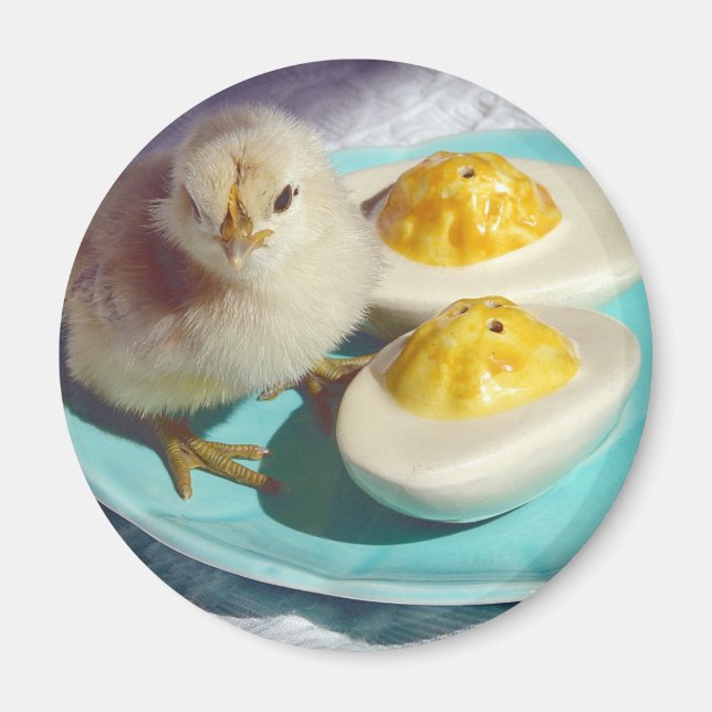 Ägg och Chick Magnet (Framsidan)