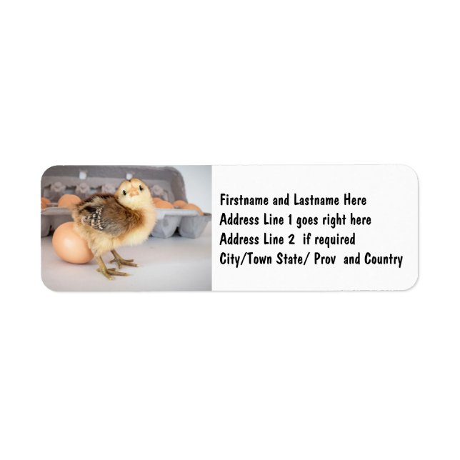 Ägg och Chickar från Baby Returadress Etikett (Framsidan)
