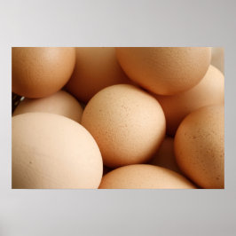 Ägg Poster