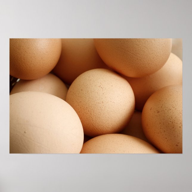 Ägg Poster (Framsidan)