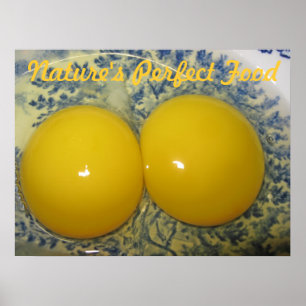 Ägg Poster