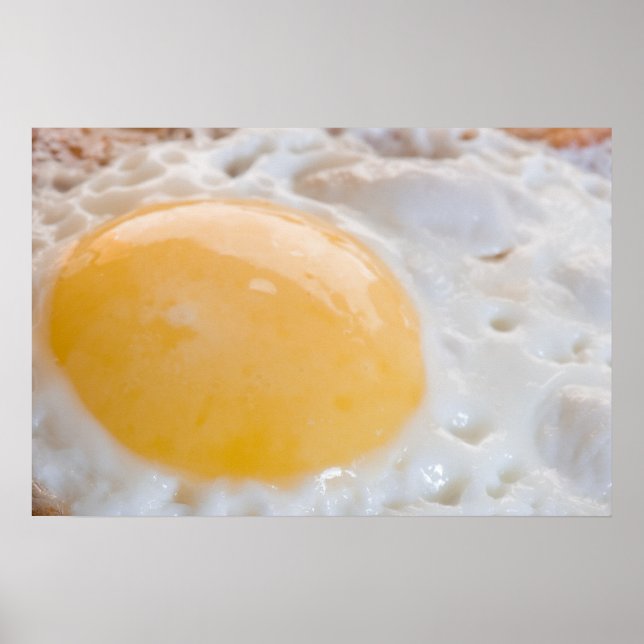 Ägg Poster (Framsidan)