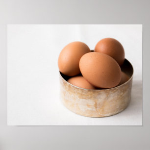 Ägg Poster