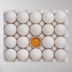 Ägg Poster