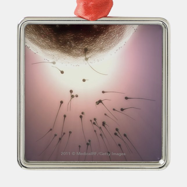 Ägg som gödslas av sperma julgransprydnad metall (Framsidan)