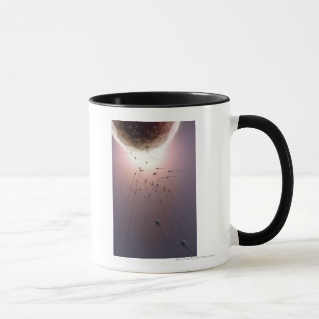 Ägg som gödslas av sperma mugg (Höger)