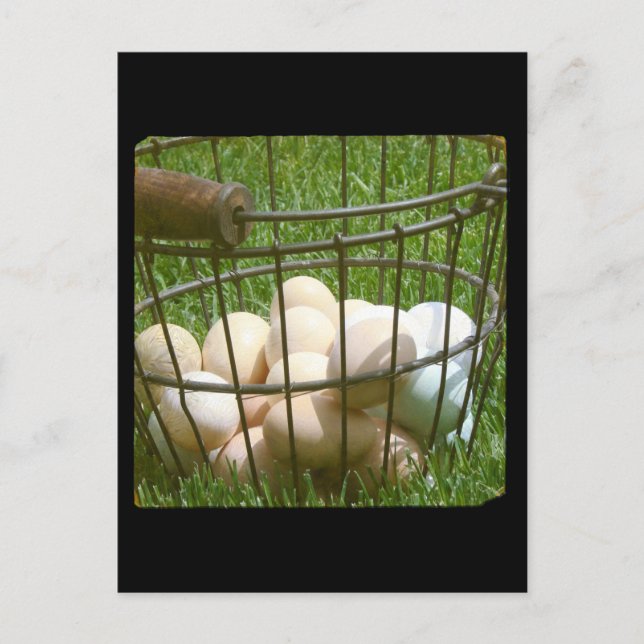 Ägg Vykort (Framsida)